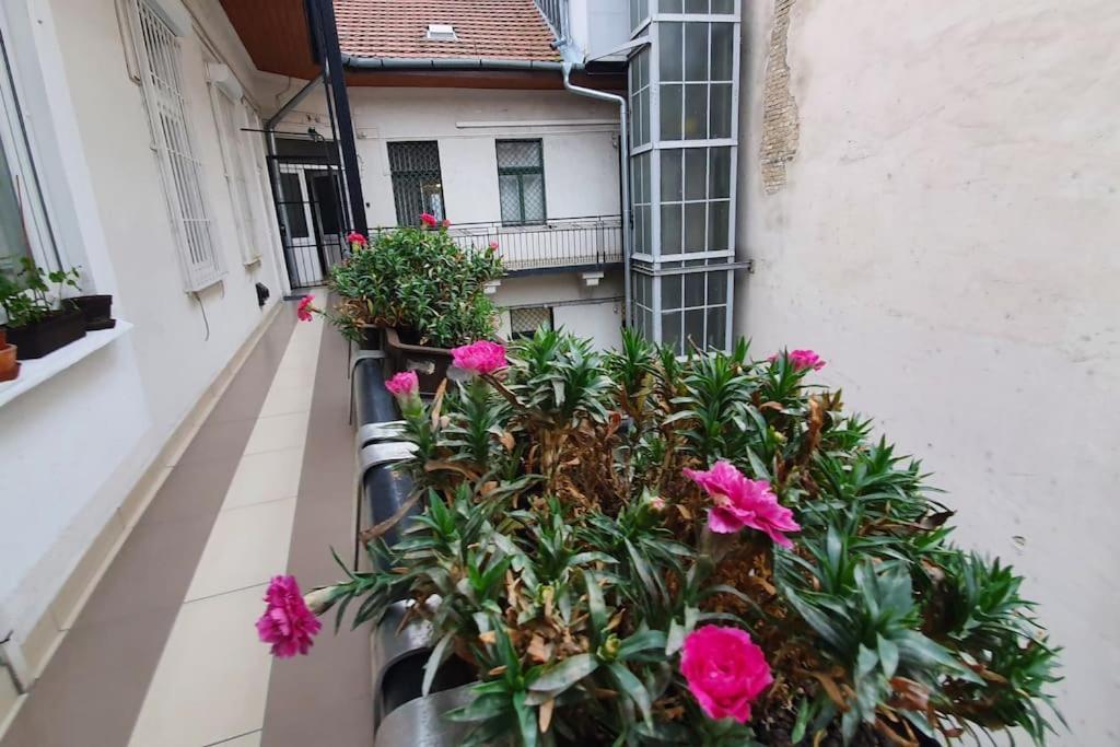 Violet Apartment With Air Condition Budapeszt Zewnętrze zdjęcie