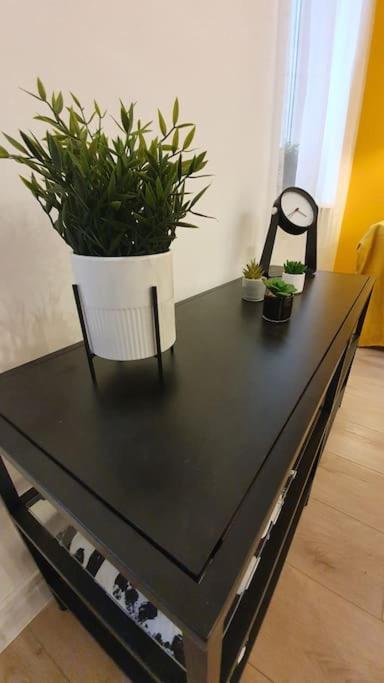 Violet Apartment With Air Condition Budapeszt Zewnętrze zdjęcie