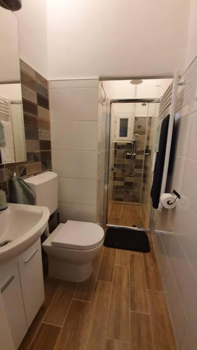 Violet Apartment With Air Condition Budapeszt Zewnętrze zdjęcie